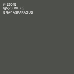 #4E504B - Gray Asparagus Color Image
